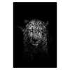 Toiles peintures animaux en noir et blanc - /medias/157553528154.jpg