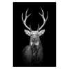 Toiles peintures animaux en noir et blanc - /medias/15755352842.jpg