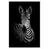 Toiles peintures animaux en noir et blanc - /medias/157553528592.jpg