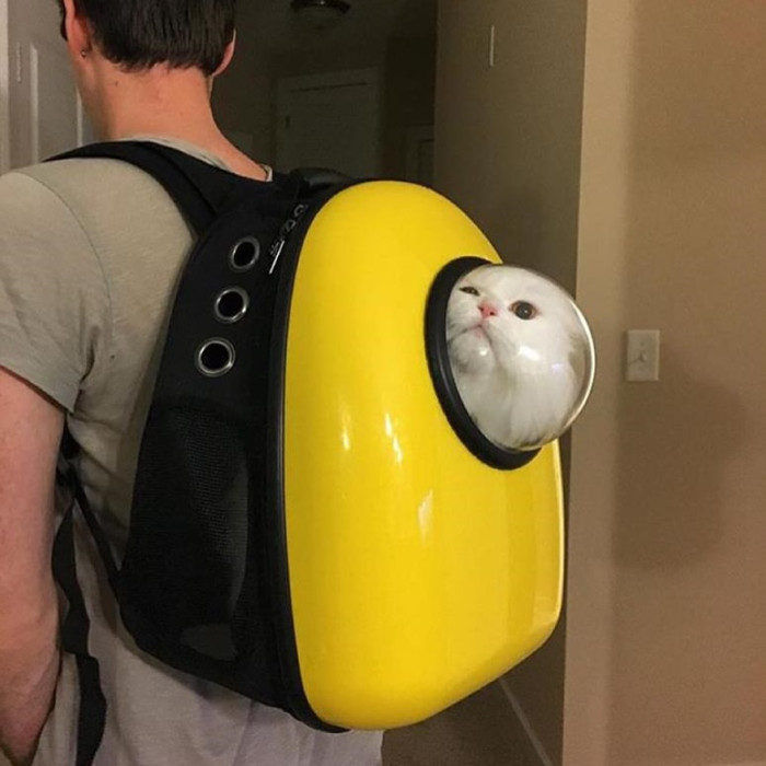 Sac à dos chat astronaute